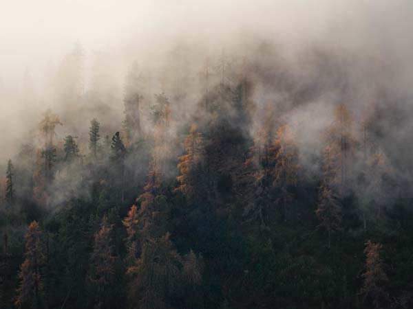__source__P01-9998-260904-1XXXX2-018101