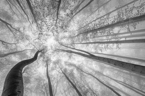 __source__P01-9998-260904-1XXXX2-018301