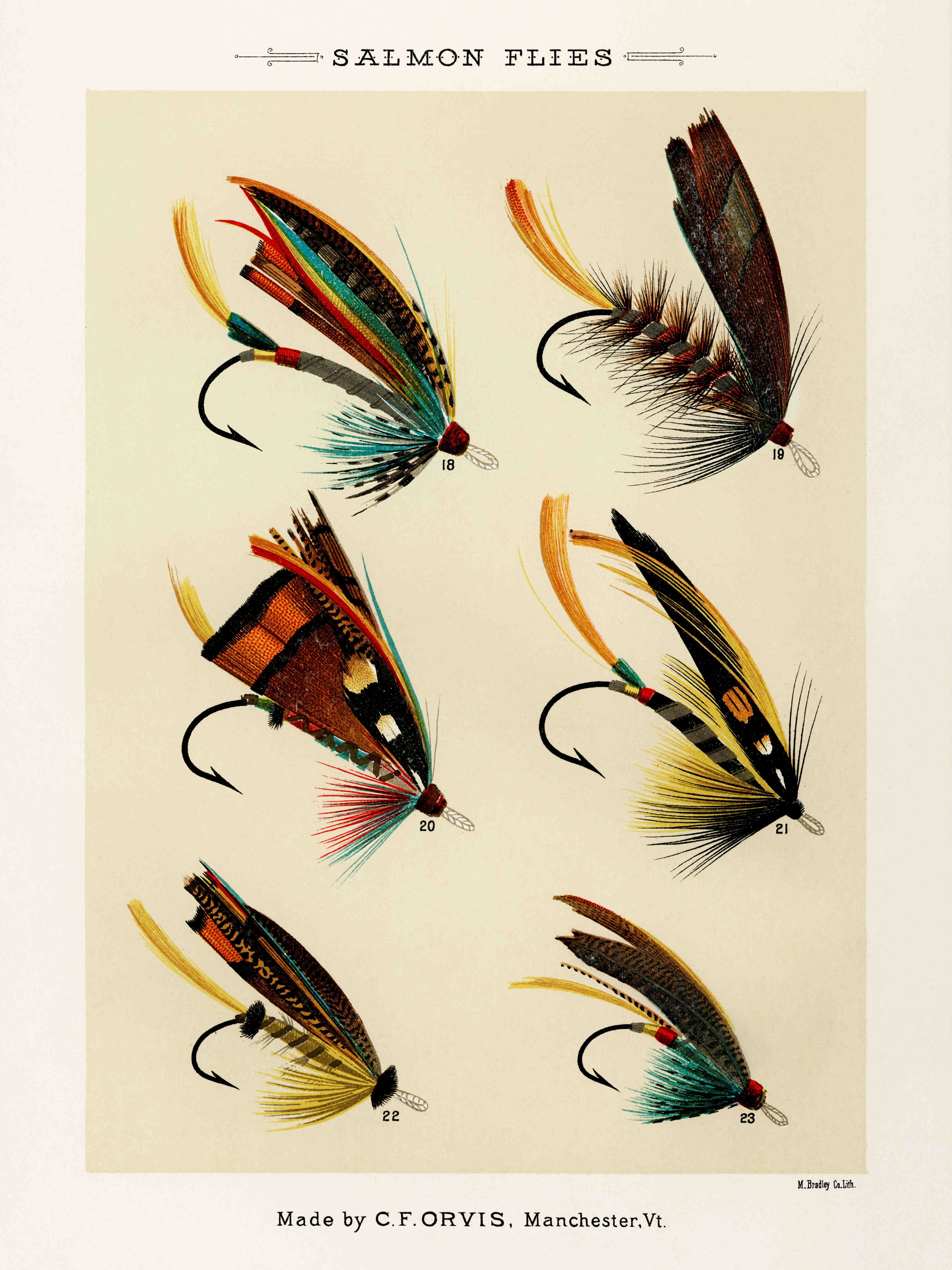P98-0007-251030A-OPNGAL-000701 - Product image