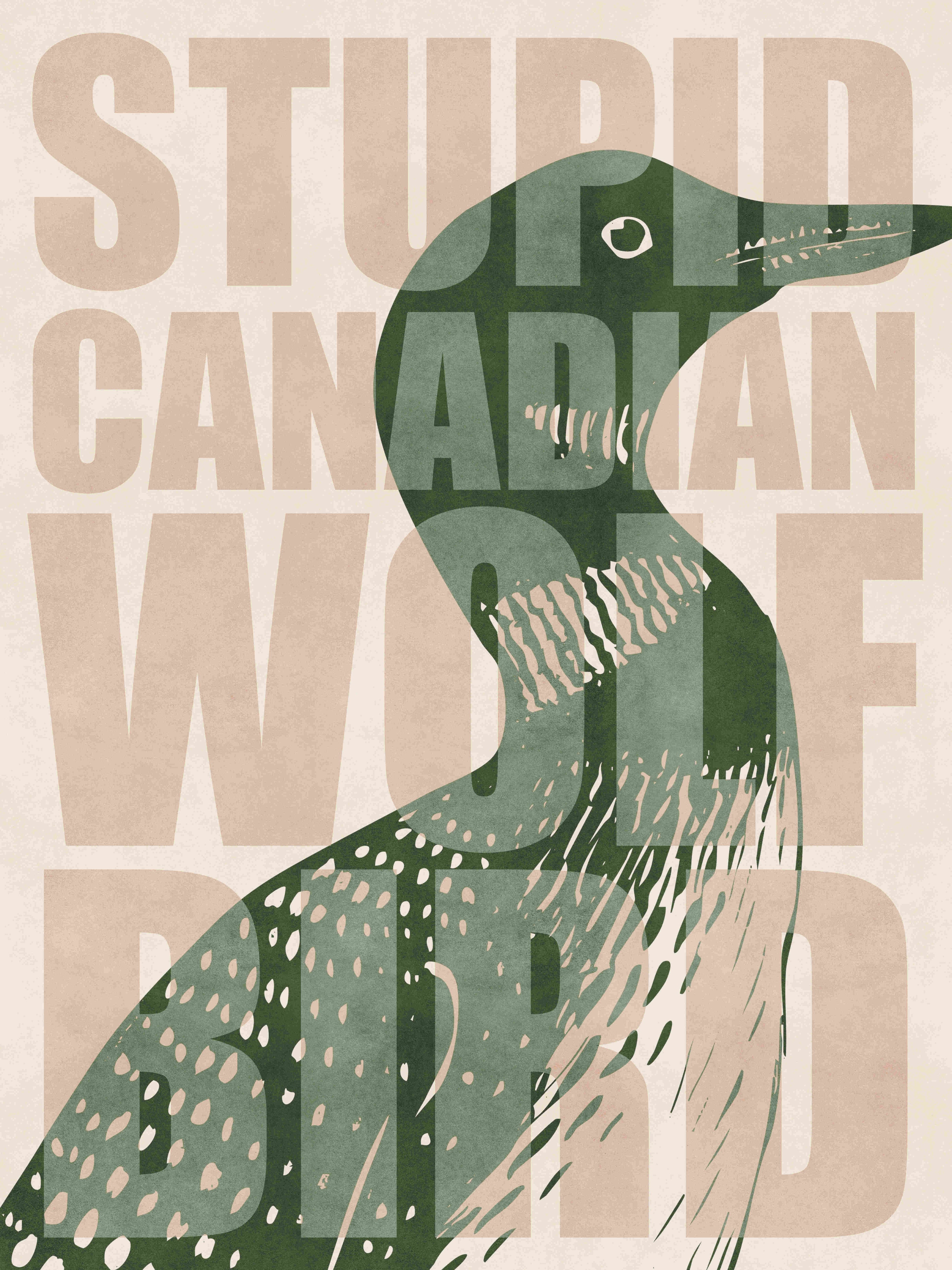 P98-0007-251030A-OPNGAL-003501 - Product image