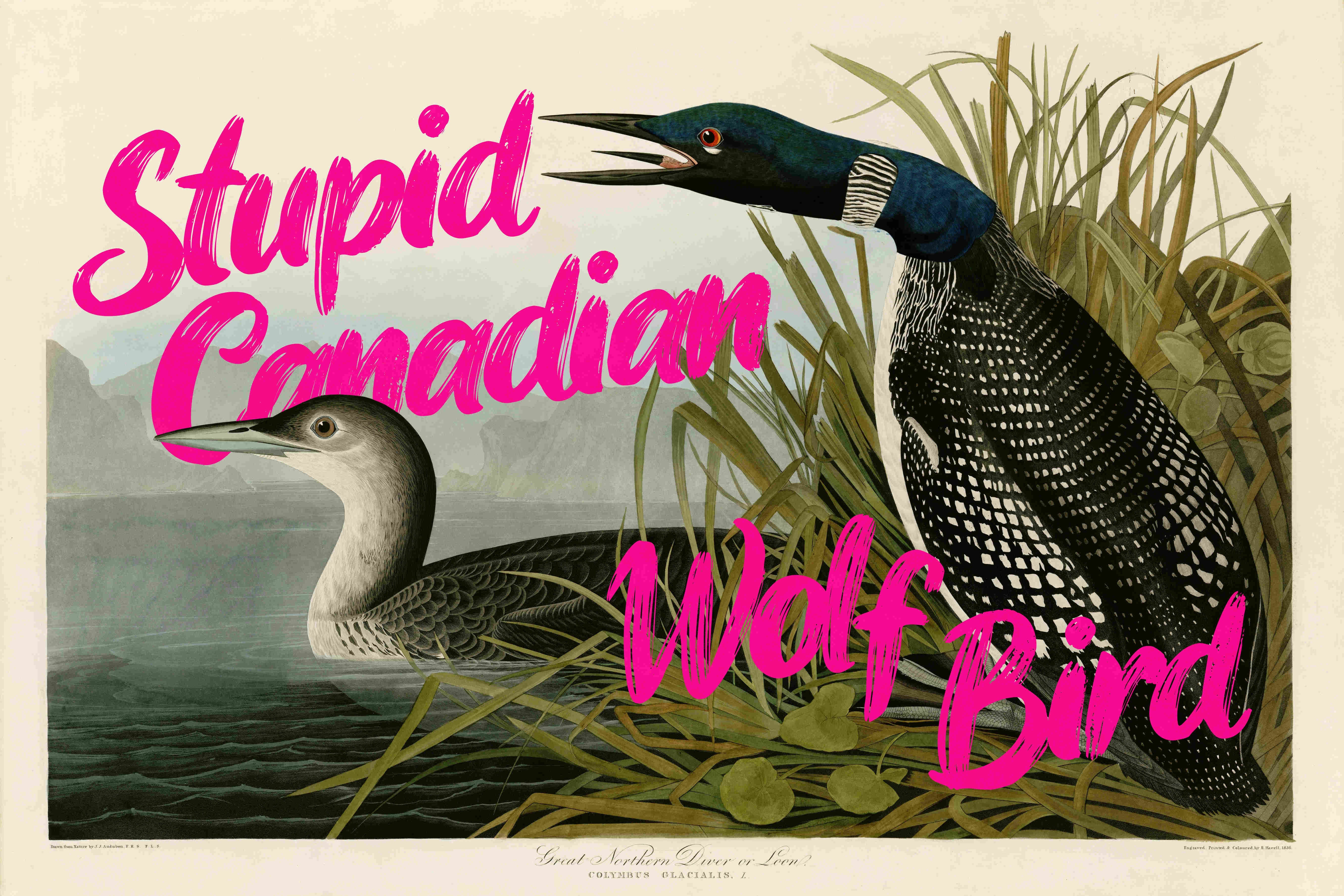 P98-0007-251030A-OPNGAL-003601 - Product image