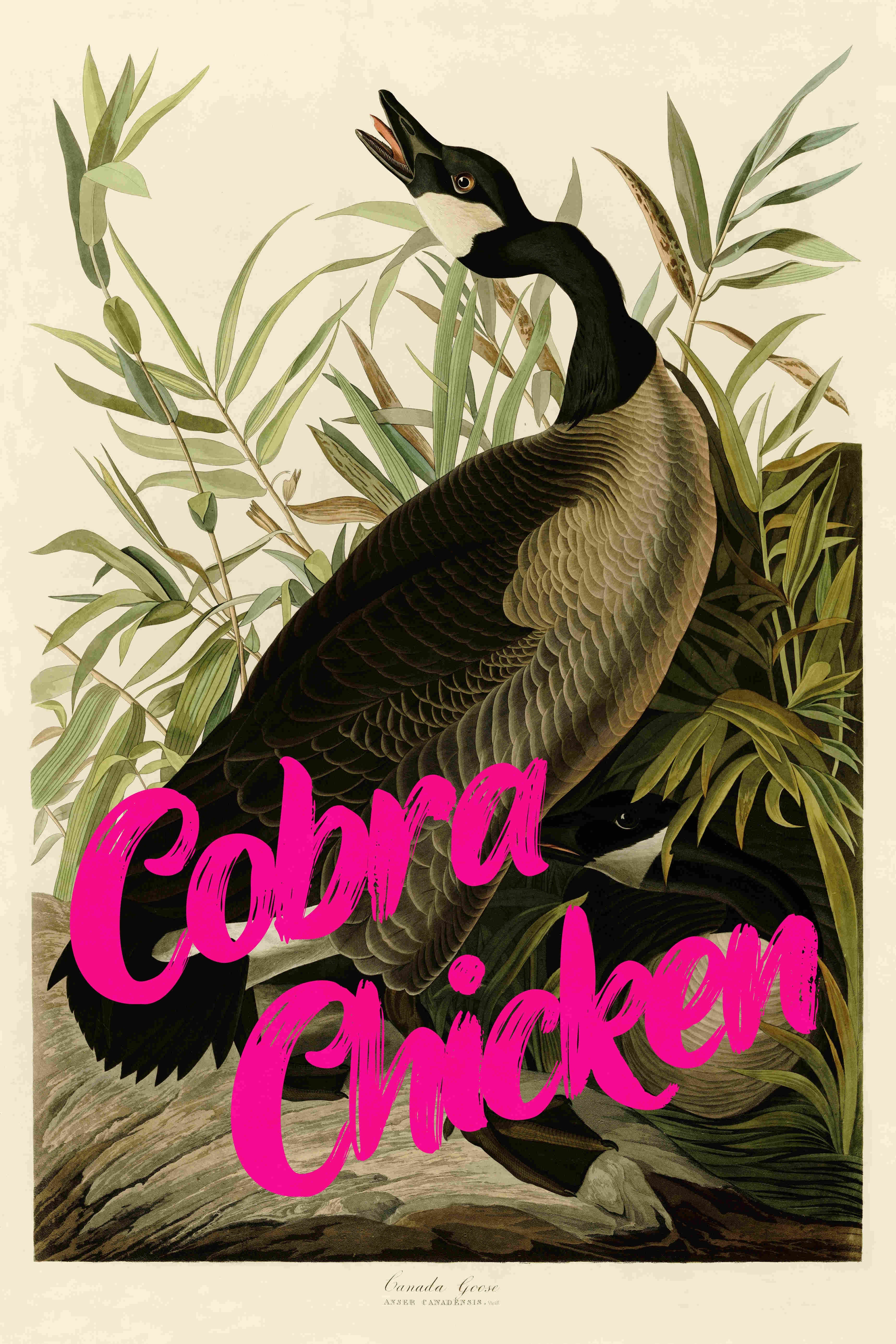 P98-0007-251030A-OPNGAL-003701 - Product image