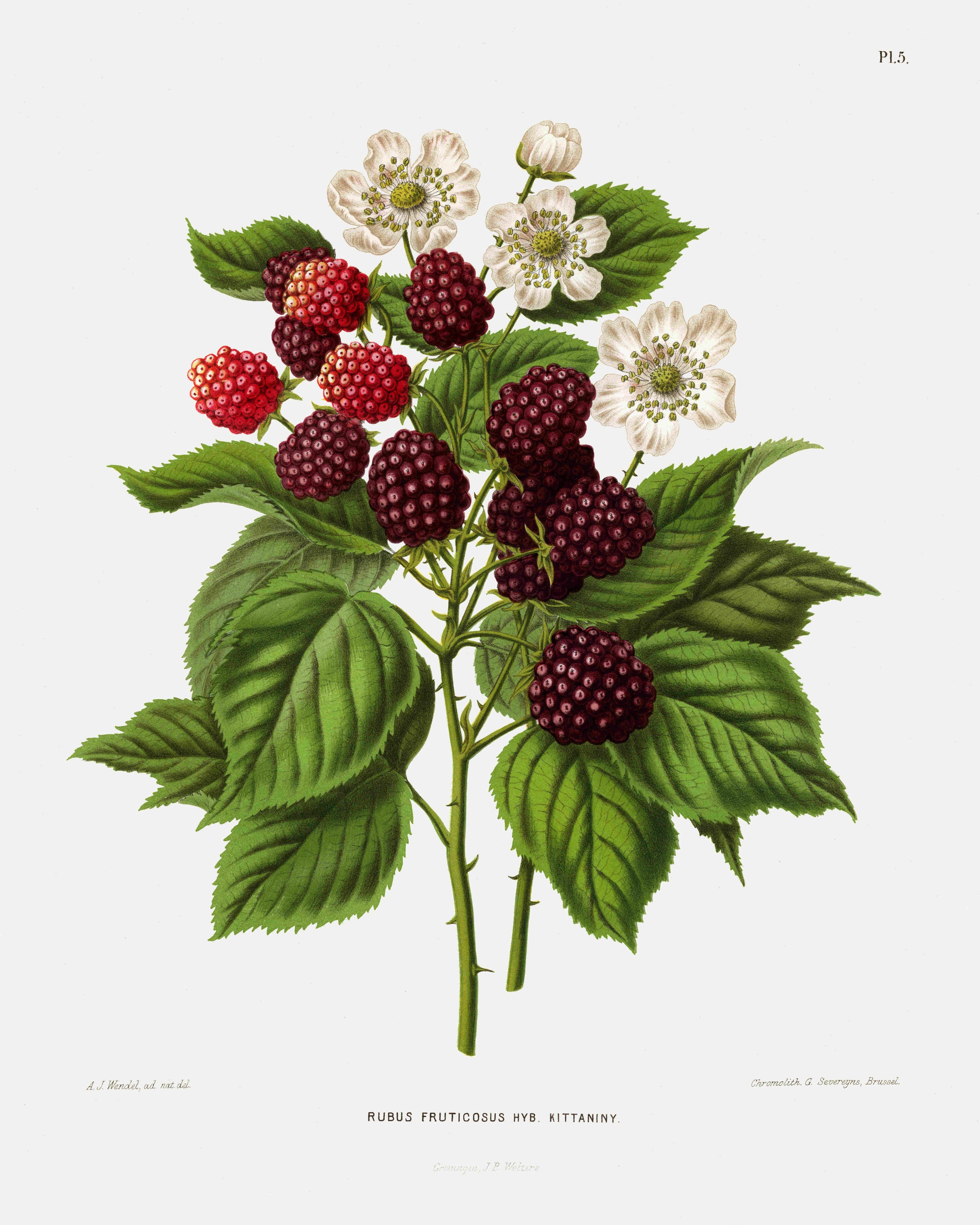 __source__P98-0007-251030A-OPNGAL-004101