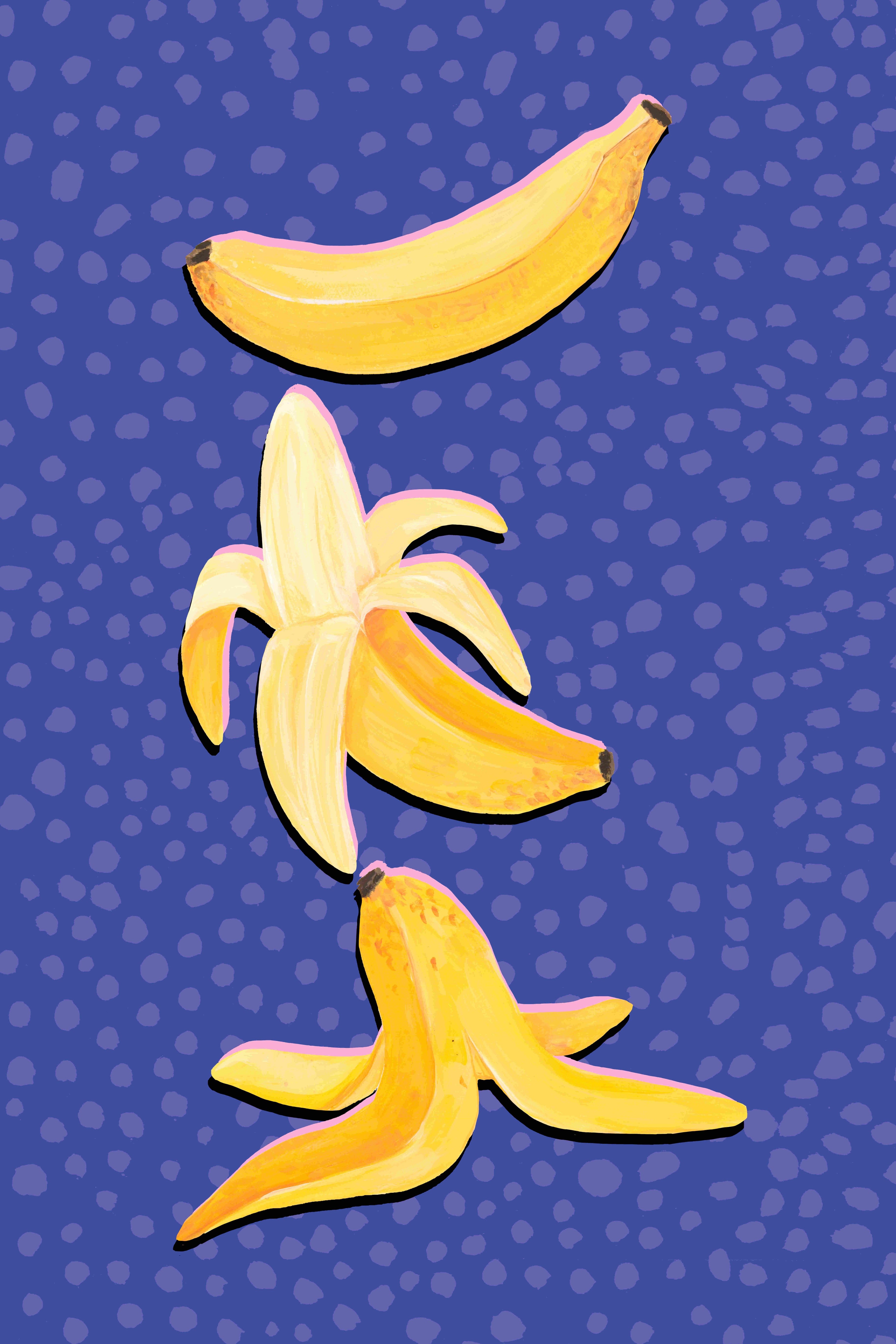 P98-0015-260119A-PITRND-002001 - Product image