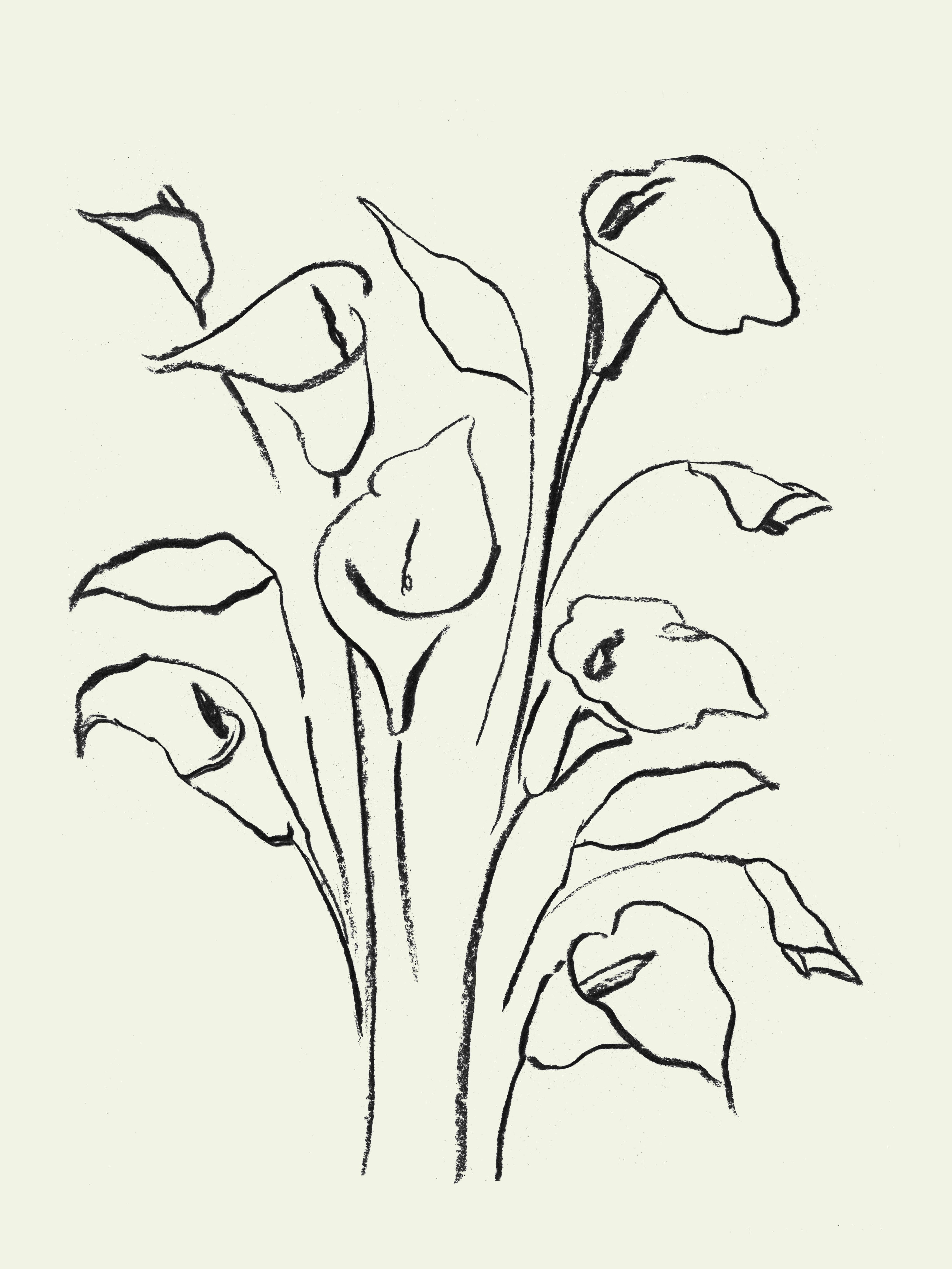 __source__P98-0015-260326A-PITRND-004701